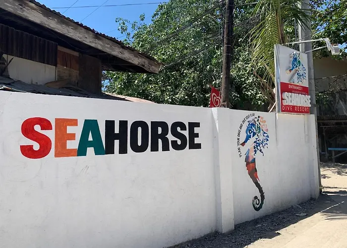 Mactan Seahorse Lapu-Lapu City