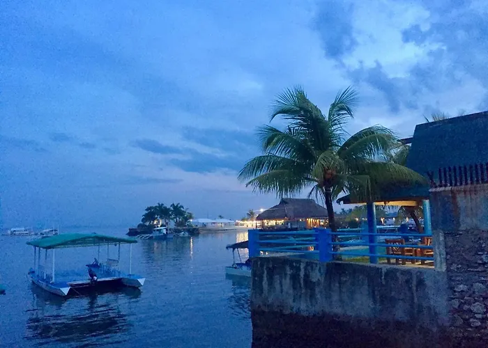 Mactan Seahorse
