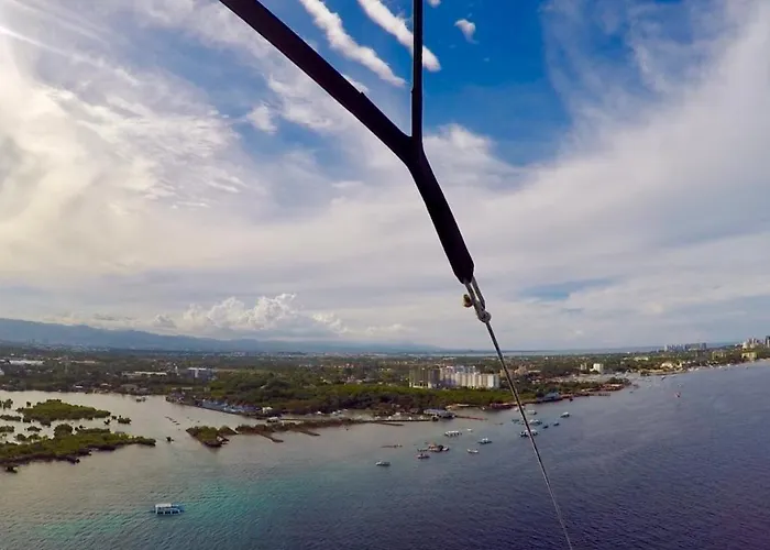 Mactan Seahorse *